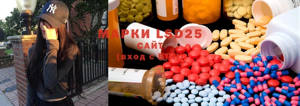 PSILOCYBIN Лиски