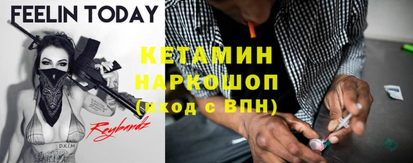 крисы Магас